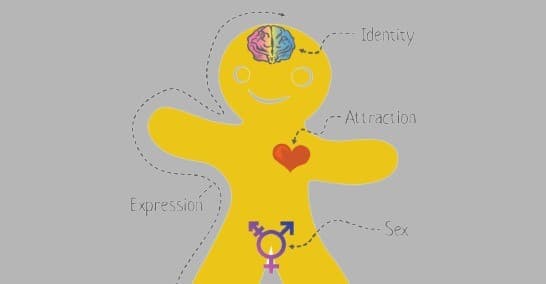 Opinion: The Dangerous Theology of Transgenderism