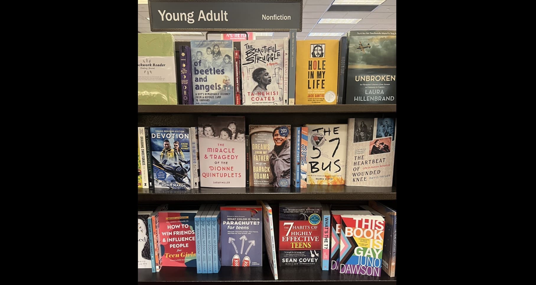 Exclusive: "What's the T" - Sequel to "This Book is Gay" in Young Adult Section of Orem Barnes & Noble
