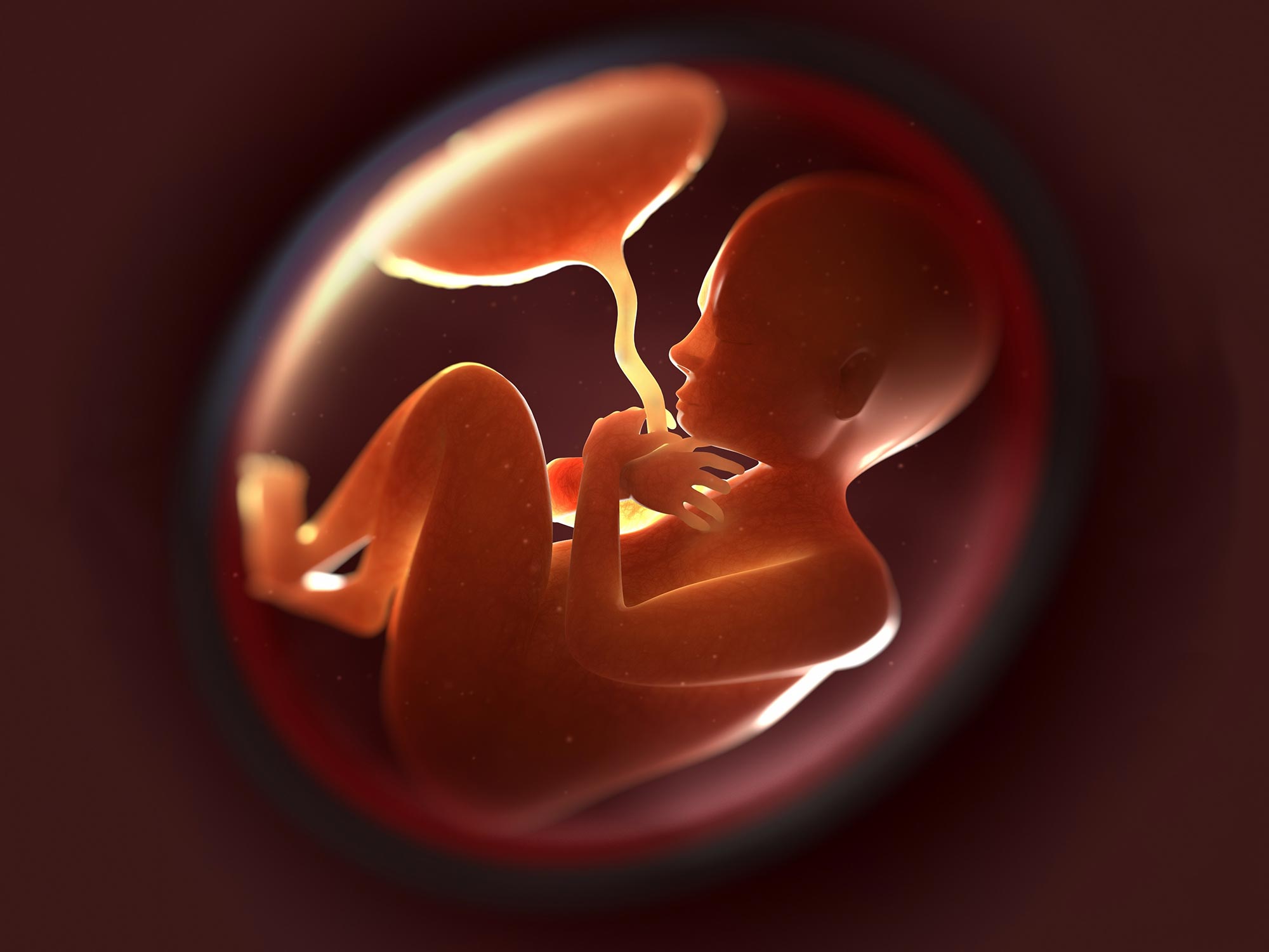 How Republicans Should Tackle Abortion